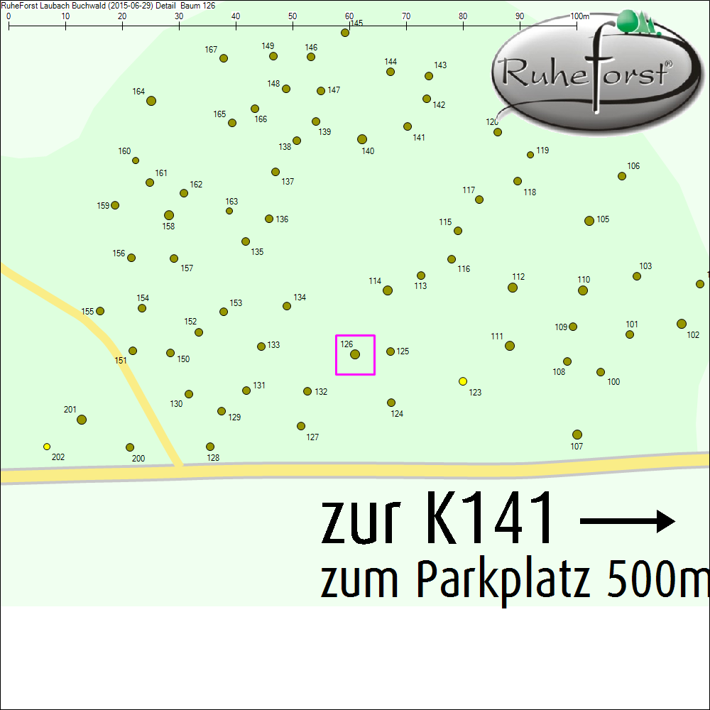 Detailkarte zu Baum 126