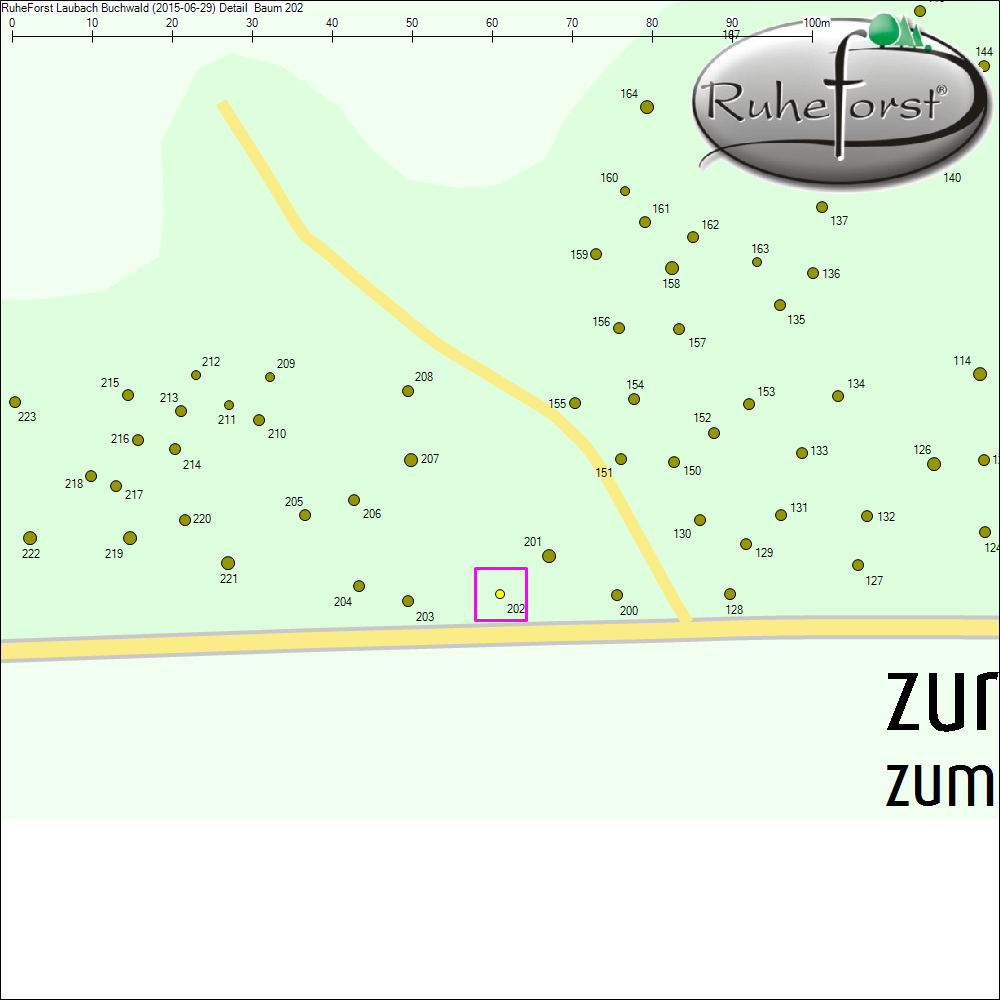 Detailkarte zu Baum 202